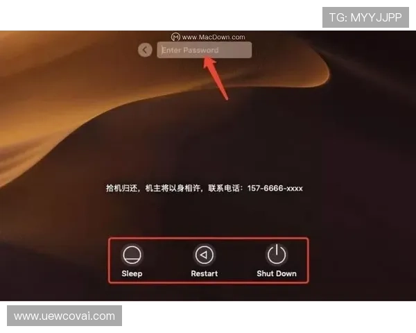 快速掌握AG国际网站登录流程,帮助新用户轻松完成账号登录设置 快速掌握AG国际网站登录流程,帮助新用户轻松完成账号登录设置