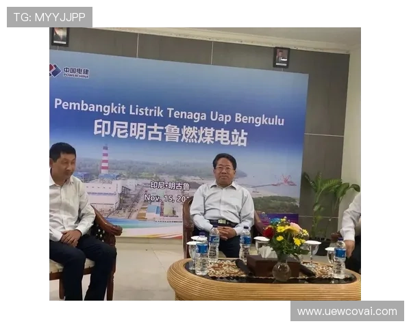 如何通过ag现金电投网平台实现多元化投资策略提升整体盈利能力